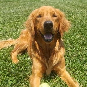 Meet your Posher, Andrew